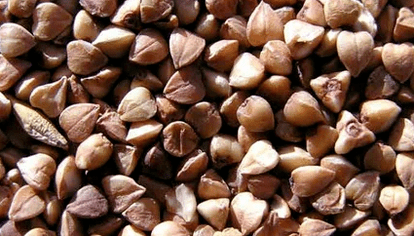 Porridge de sarrasin pour la perte de poids